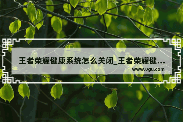 王者荣耀健康系统怎么关闭_王者荣耀健康系统可以关闭吗 健康系统怎么关闭