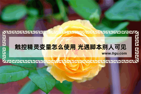 触控精灵变量怎么使用 光遇脚本别人可见