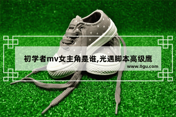 初学者mv女主角是谁,光遇脚本高级鹰