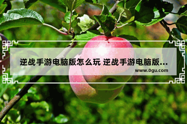 逆战手游电脑版怎么玩 逆战手游电脑版怎么下载_逆战的腾讯安全中心怎么不能自启了 然后跳出个游戏环境异常 请重启电脑