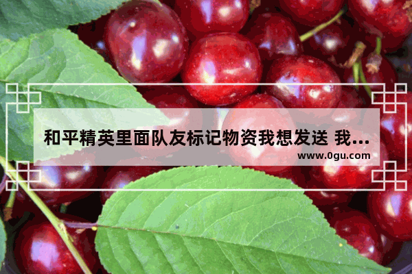 和平精英里面队友标记物资我想发送 我要了 怎么发送 发送在和平精英