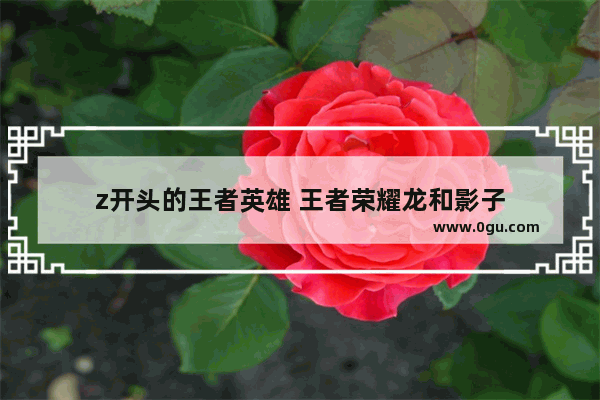 z开头的王者英雄 王者荣耀龙和影子