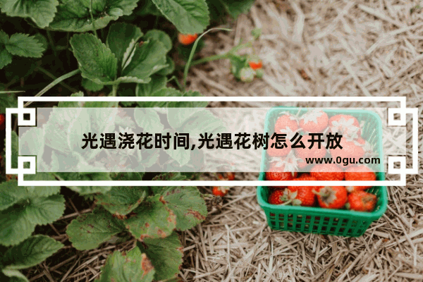 光遇浇花时间,光遇花树怎么开放