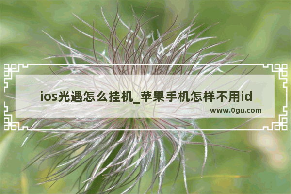 ios光遇怎么挂机_苹果手机怎样不用id密码更新光遇