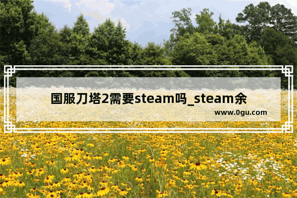 国服刀塔2需要steam吗_steam余额怎么买dota
