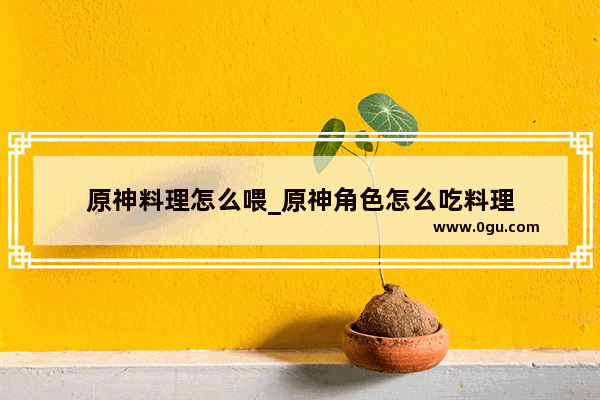 原神料理怎么喂_原神角色怎么吃料理