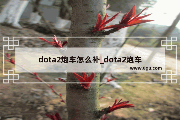 dota2炮车怎么补_dota2炮车
