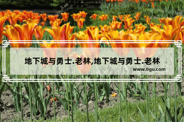 地下城与勇士.老林,地下城与勇士.老林