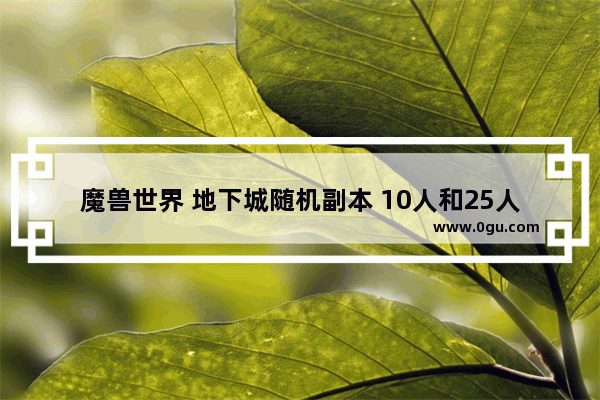 魔兽世界 地下城随机副本 10人和25人打一次要多长时间,地下城与勇士划水