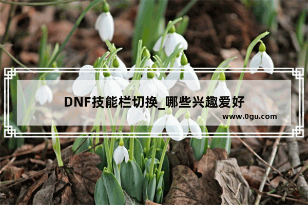DNF技能栏切换_哪些兴趣爱好