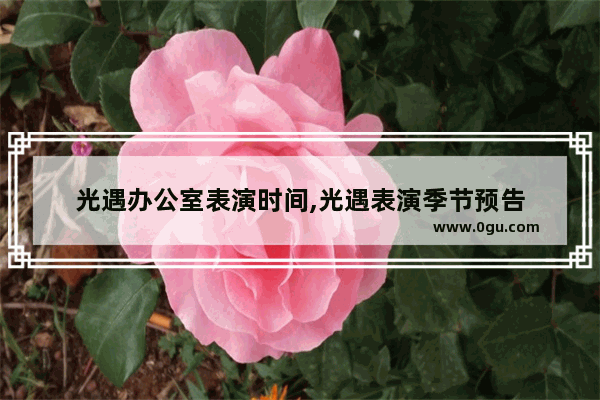 光遇办公室表演时间,光遇表演季节预告