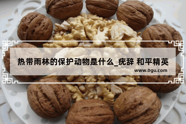 热带雨林的保护动物是什么_疣辞 和平精英