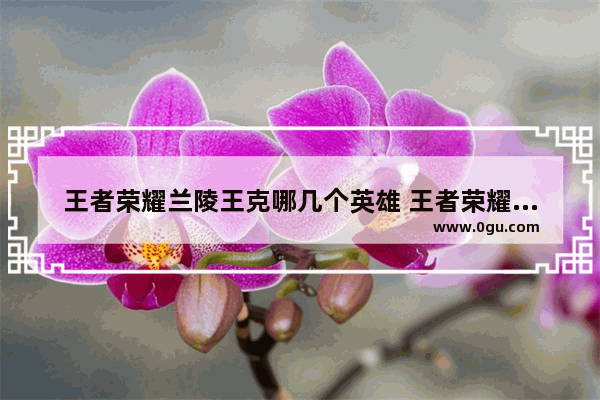 王者荣耀兰陵王克哪几个英雄 王者荣耀兰陵王被谁克