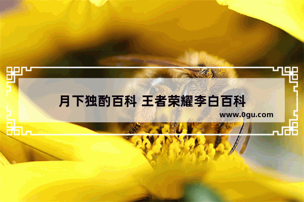 月下独酌百科 王者荣耀李白百科