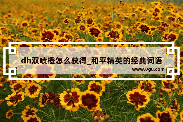 dh双喷橙怎么获得_和平精英的经典词语