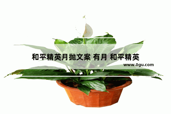 和平精英月抛文案 有月 和平精英