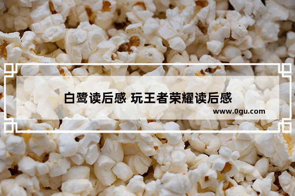 白鹭读后感 玩王者荣耀读后感