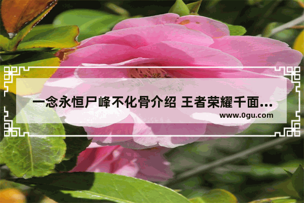 一念永恒尸峰不化骨介绍 王者荣耀千面之魔