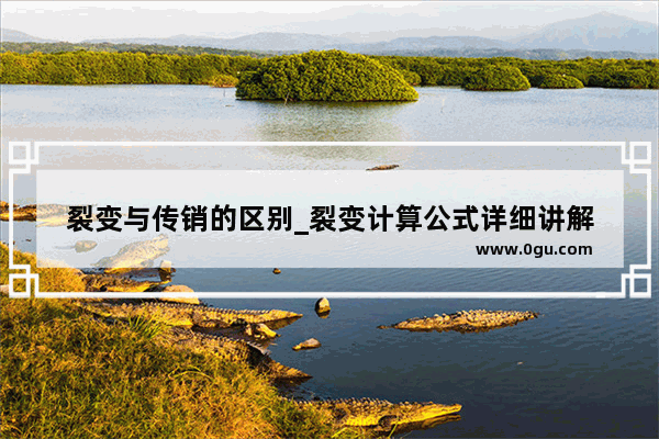 裂变与传销的区别_裂变计算公式详细讲解
