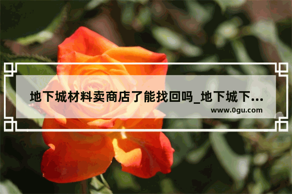 地下城材料卖商店了能找回吗_地下城下架了吗