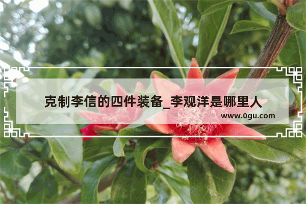 克制李信的四件装备_李观洋是哪里人