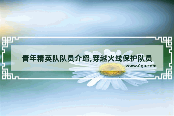 青年精英队队员介绍,穿越火线保护队员
