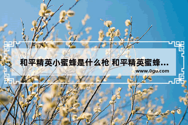 和平精英小蜜蜂是什么枪 和平精英蜜蜂机甲