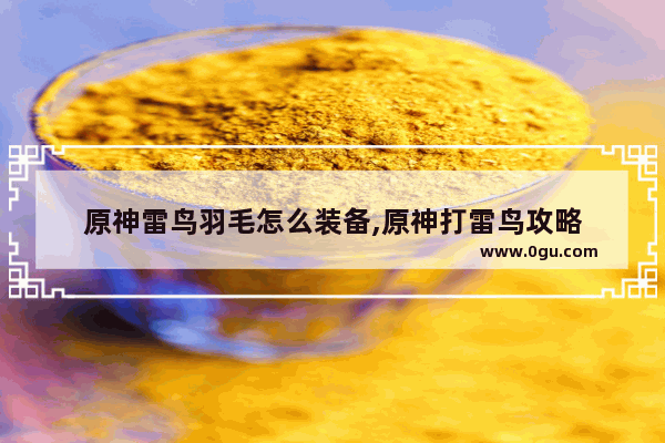 原神雷鸟羽毛怎么装备,原神打雷鸟攻略