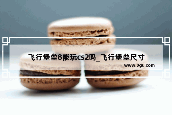 飞行堡垒8能玩cs2吗_飞行堡垒尺寸