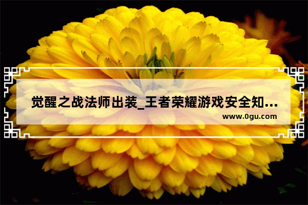 觉醒之战法师出装_王者荣耀游戏安全知识答题答案