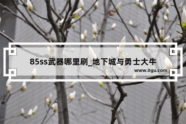 85ss武器哪里刷_地下城与勇士大牛