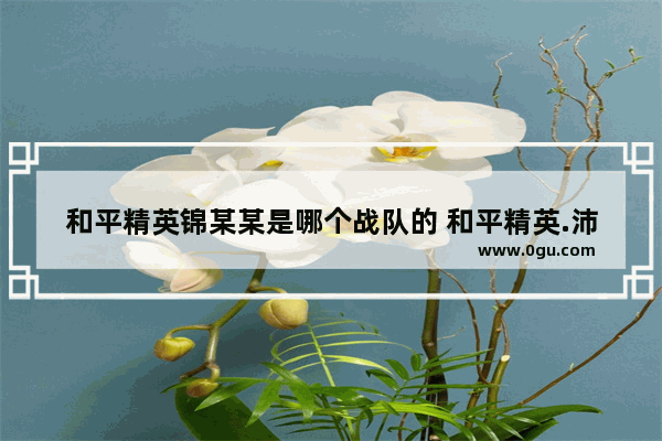 和平精英锦某某是哪个战队的 和平精英.沛某人