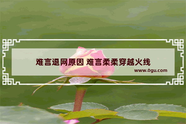 难言退网原因 难言柔柔穿越火线
