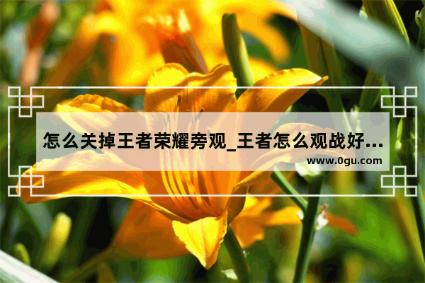 怎么关掉王者荣耀旁观_王者怎么观战好友单挑