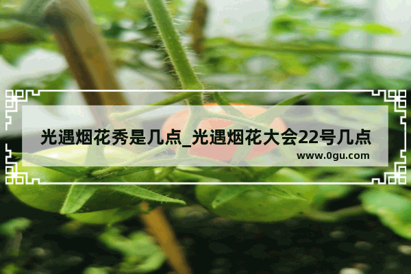 光遇烟花秀是几点_光遇烟花大会22号几点结束