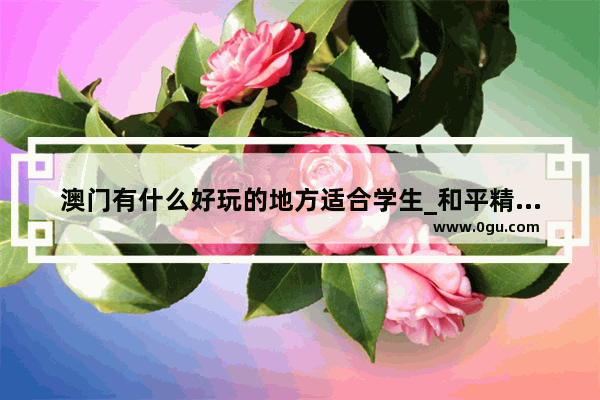澳门有什么好玩的地方适合学生_和平精英温泉玛莎