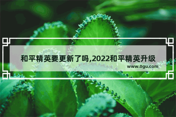 和平精英要更新了吗,2022和平精英升级