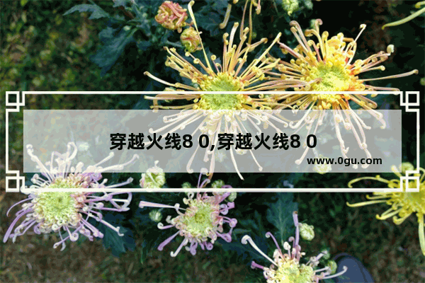 穿越火线8 0,穿越火线8 0