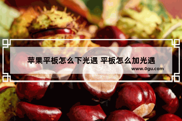 苹果平板怎么下光遇 平板怎么加光遇