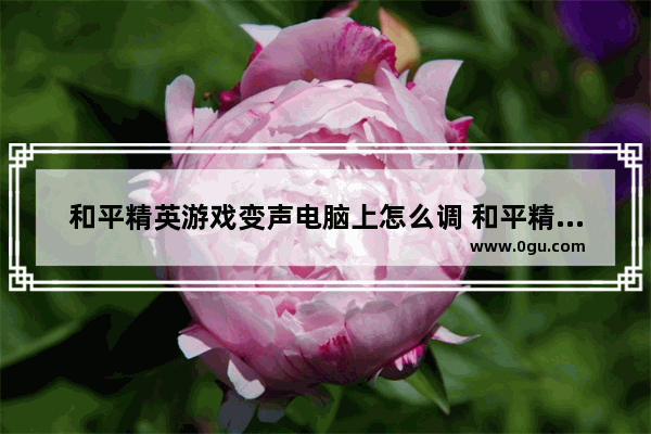 和平精英游戏变声电脑上怎么调 和平精英关掉变声