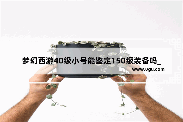梦幻西游40级小号能鉴定150级装备吗_天下3如何带小号赚金币