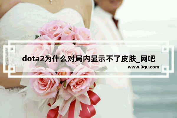 dota2为什么对局内显示不了皮肤_网吧dota2太模糊如何调