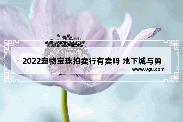 2022宠物宝珠拍卖行有卖吗 地下城与勇士碧玉