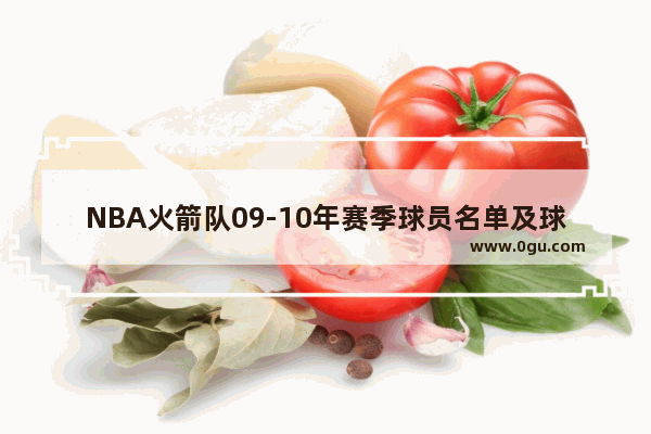 NBA火箭队09-10年赛季球员名单及球号是什么_老佛爷卡尔 拉格菲尔德是什么星座