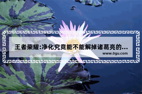 王者荣耀:净化究竟能不能解掉诸葛亮的大招_男主角可以召唤王者荣耀的英雄的小说