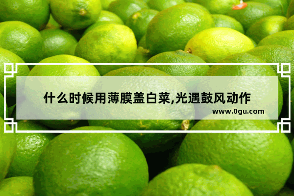 什么时候用薄膜盖白菜,光遇鼓风动作