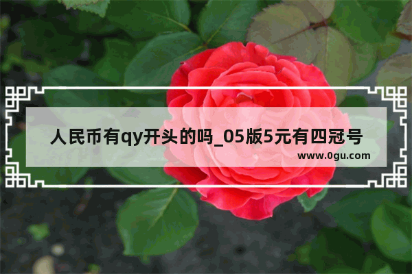人民币有qy开头的吗_05版5元有四冠号吗