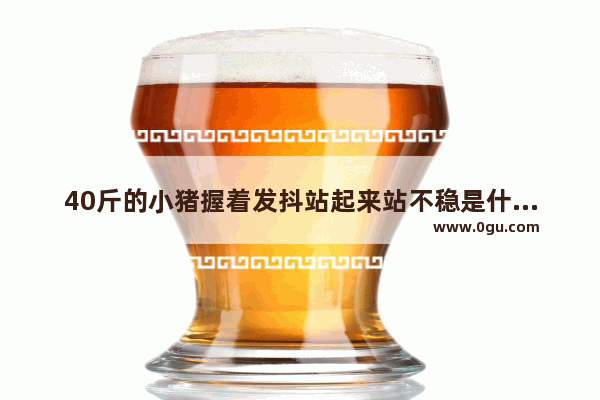 40斤的小猪握着发抖站起来站不稳是什么情况_光遇惊恐站姿