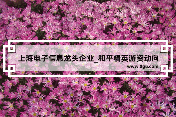 上海电子信息龙头企业_和平精英游资动向