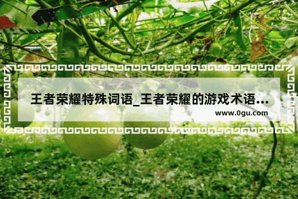 王者荣耀特殊词语_王者荣耀的游戏术语都是什么意思